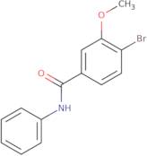 N-Phenyl 4-bromo-3-methoxybenzamide