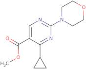 Methyl 4-cyclopropyl-2-morpholinopyrimidine-5-carboxylate