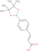 4-(E-2-Carboxyvinyl)phenylboronic acid pinacol ester