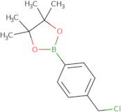 4-Chloromethylphenylboronic acid pinacol ester