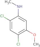 2,4-Dichloro-5-methoxy-N-methylaniline