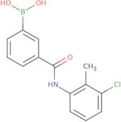 N-(3-Chloro-2-methylphenyl) 3-boronobenzamide