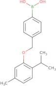 4-[(2-Isopropyl-5-methylphenoxy)methyl]phenylboronic acid