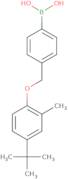 4-[(4-tert-Butyl-2-methylphenoxy)methyl]phenylboronic acid