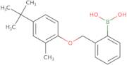 2-[(4'-tert-Butyl-2'-methylphenoxy)methyl]phenylboronic acid