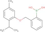 2-[(2-Isopropyl-5-methylphenoxy)methyl]phenylboronic acid