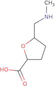 5-[(Methylamino)methyl]oxolane-2-carboxylic acid