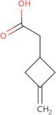 2-(3-Methylidenecyclobutyl)acetic acid