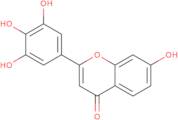 7,3',4',5'-Tetrahydroxyflavone