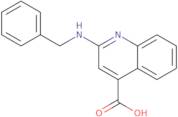 2-(Benzylamino)quinoline-4-carboxylic acid