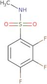 2,3,4-Trifluoro-N-methylbenzenesulfonamide