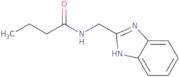 N-(1H-1,3-Benzodiazol-2-ylmethyl)butanamide