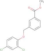 Methyl 3-[(2,4-dichlorophenoxy)methyl]benzoate