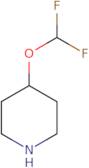 4-(Difluoromethoxy)piperidine