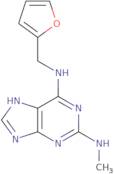 N6-[(Furan-2-yl)methyl]-N2-methyl-7H-purine-2,6-diamine