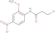 3-Chloro-N-(2-methoxy-4-nitrophenyl)propanamide