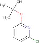 Pyridine, 2-chloro-6-(1,1-dimethylethoxy)-