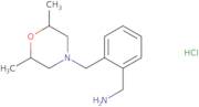 {2-[(2,6-Dimethylmorpholin-4-yl)methyl]phenyl}methanamine hydrochloride