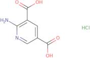 2-Aminopyridine-3,5-dicarboxylic Acid Hydrochloride