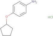 4-(Cyclopentyloxy)aniline hydrochloride