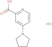 4-(Pyrrolidin-1-yl)pyridine-2-carboxylic acid hydrochloride