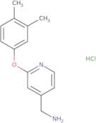 [2-(3,4-Dimethylphenoxy)pyridin-4-yl]methanamine hydrochloride