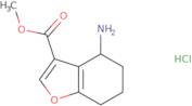 Methyl 4-amino-4,5,6,7-tetrahydrobenzofuran-3-carboxylate hydrochloride