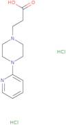 3-[4-(Pyridin-2-yl)piperazin-1-yl]propanoic acid dihydrochloride