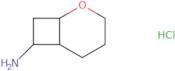 2-Oxabicyclo[4.2.0]octan-7-amine hydrochloride