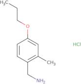 (2-Methyl-4-propoxyphenyl)methanamine hydrochloride