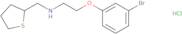 [2-(3-Bromophenoxy)ethyl](thiolan-2-ylmethyl)amine hydrochloride