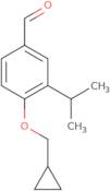 2-(2-Fluoro[1,1'-biphenyl]-4-yl)-2,3-dimethylbutanedioic acid