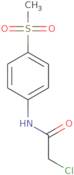 2-Chloro-N-(4-methanesulfonylphenyl)acetamide