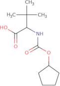 (S)-2-Cyclopentyloxycarbonylamino-3,3-dimethyl-butyric acid