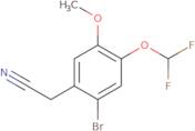 2-[2-Bromo-4-(difluoromethoxy)-5-methoxyphenyl]acetonitrile