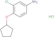3-Chloro-4-(cyclopentyloxy)aniline hydrochloride