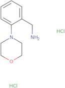 [2-(Morpholin-4-yl)phenyl]methanamine dihydrochloride