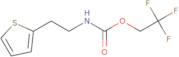 2,2,2-Trifluoroethyl N-[2-(thiophen-2-yl)ethyl]carbamate