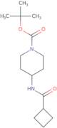 tert-Butyl 4-(cyclobutanecarbonylamino)piperidine-1-carboxylate