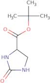 tert-Butyl 2-oxoimidazolidine-4-carboxylate