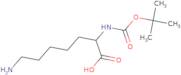 7-Amino-2-{[(tert-butoxy)carbonyl]amino}heptanoic acid