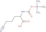2-{[(tert-Butoxy)carbonyl]amino}-5-cyanopentanoic acid