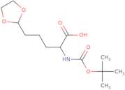2-([(tert-Butoxy)carbonyl]amino)-5-(1,3-dioxolan-2-yl)pentanoic acid