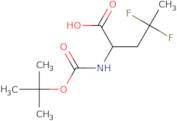 2-{[(tert-Butoxy)carbonyl]amino}-4,4-difluoropentanoic acid