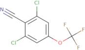 2,6-Dichloro-4-(trifluoromethoxy)benzonitrile