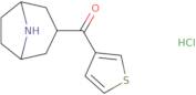 (8-Azabicyclo[3.2.1]octan-3-yl)(thiophen-3-yl)methanone hydrochloride