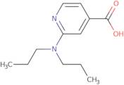 2-(Dipropylamino)isonicotinic acid