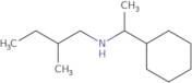 (1-Cyclohexylethyl)(2-methylbutyl)amine