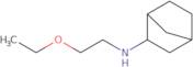 N-(2-Ethoxyethyl)bicyclo[2.2.1]heptan-2-amine