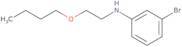 3-Bromo-N-(2-butoxyethyl)aniline